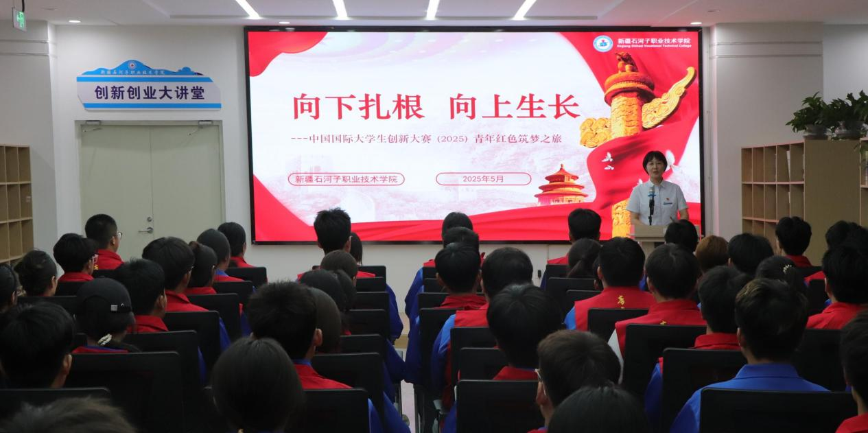 “向下扎根 向上生长”