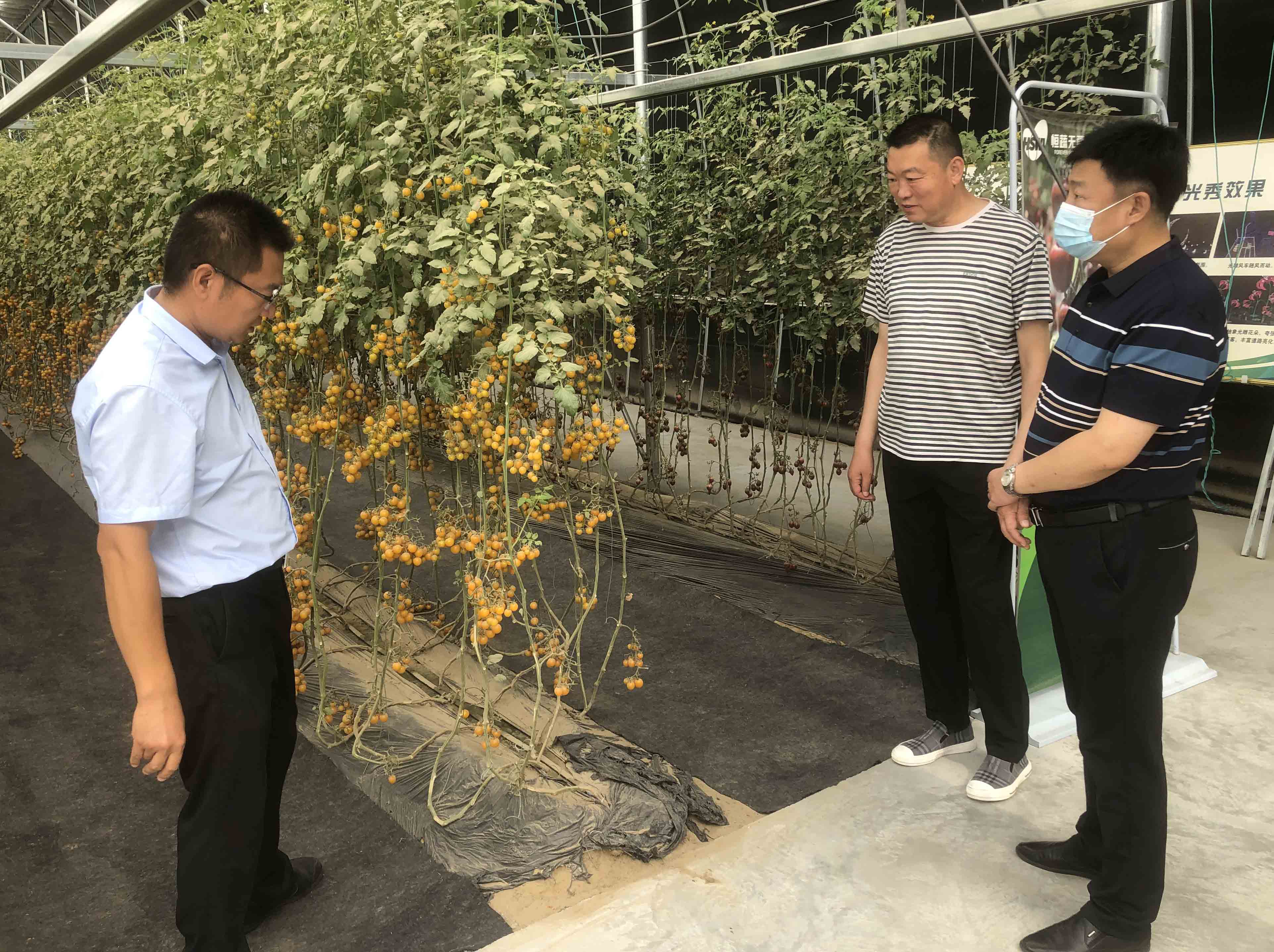 助力乡村振兴战略  构建校企合作蓝图