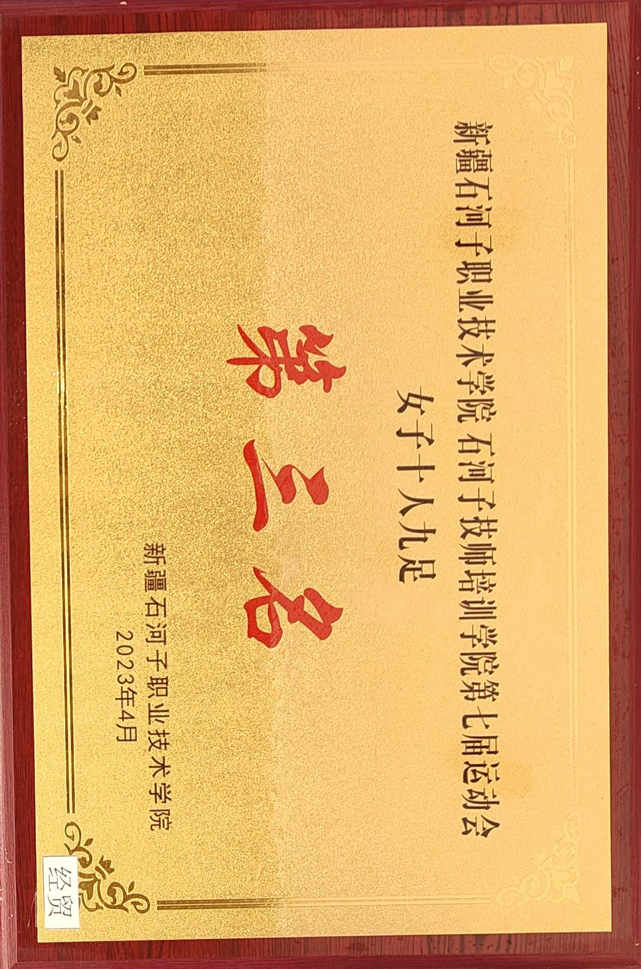 荣获Beat365中文官方网站第七届运动会 女子十人九足  第三名