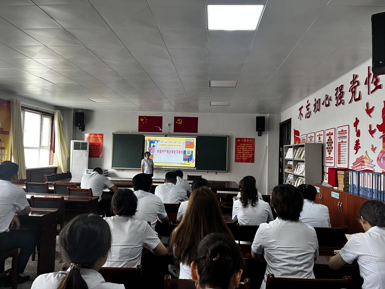 公共基础学院开展庆“七一”党日系列活动