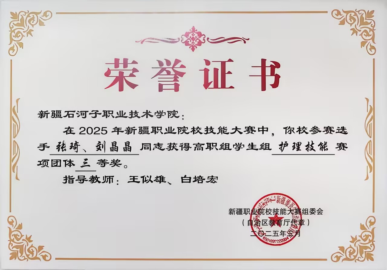 2025年新疆职业院校技能大赛高职组学生组护理技能赛项团体三等奖