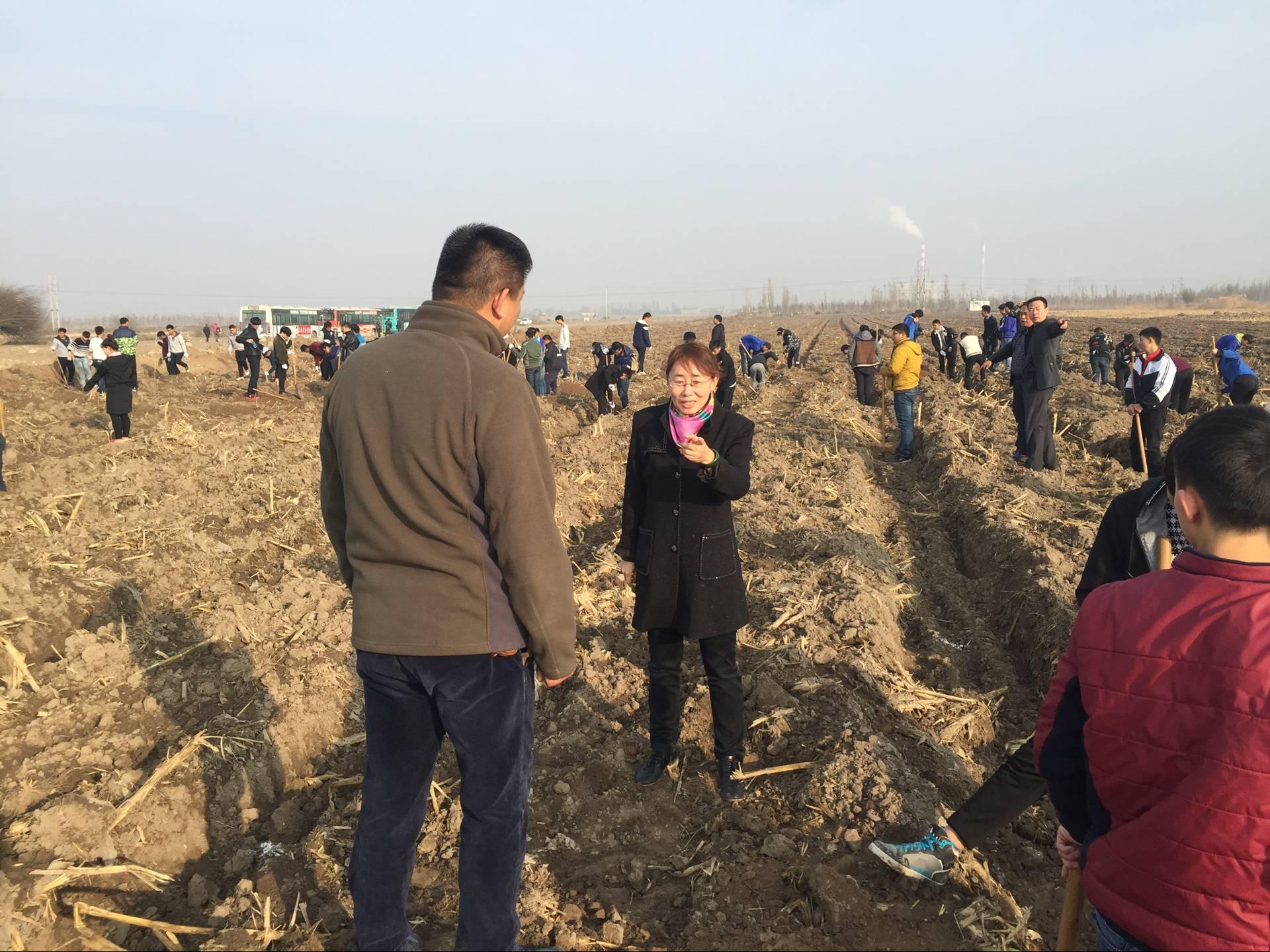 中职分院参加师市绿化活动